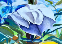 Datura