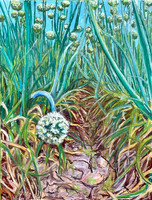 Rabbit's Eye View