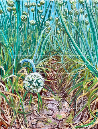 Rabbit's Eye View