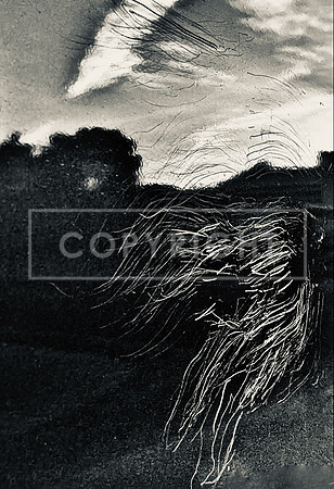 Bush Bashing Ghosts