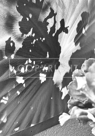 Shadows on Aluminum