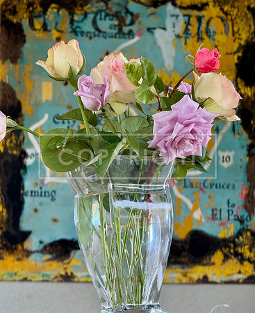 Historic Sign Still Life