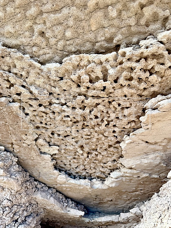 Rincon Badlands Honeycomb