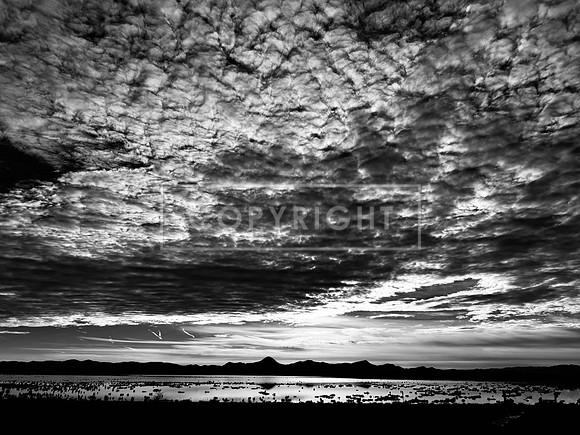 Dramatic Dawn, Lordsburg Playa