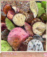 Multicolored Prickly