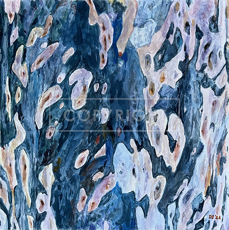 Bark Series: Gum Dimples