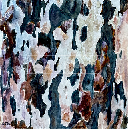 Bark Series: Spilt Coffee