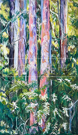 Pink Gum Columns