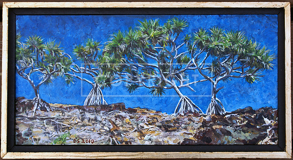 Pandanus Skyline, Moreton Island