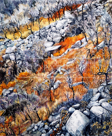 Boulder Field, Aguirre Springs