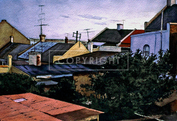 Sydney Roofs at Sunset