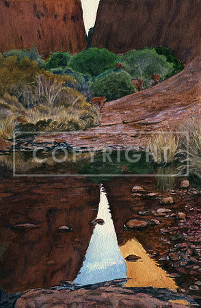 Walpa Gorge, Kata Tjuta, June 2005