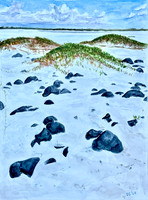 Elliott Heads Mounds