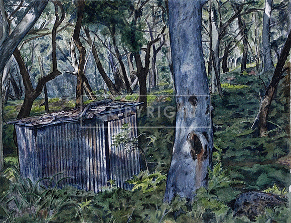 Every Boy Needs a Shed, Pt. Lookout, N. Stradbroke Island