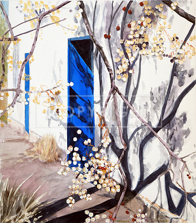 Chinaberry Blue (La Mesa)