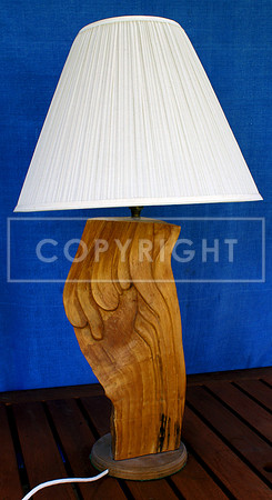 Elm Lamp