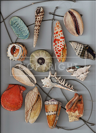 Shell Mobile (14 pieces)