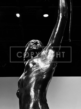 Diana Points II