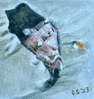 Battered Volute