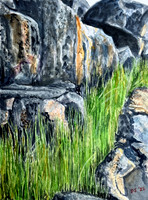 Line of Grass, South West Rocks