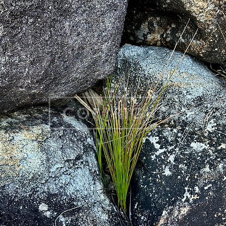 South West Rocks Foothold