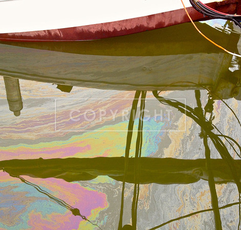 Skipjack Oil Slick