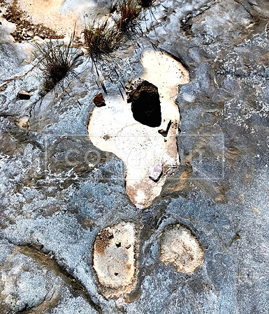 Liquid Gold (Arroyo Hollows)