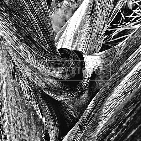 Twisted to the Core