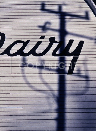 Yoder Dairy Shadows