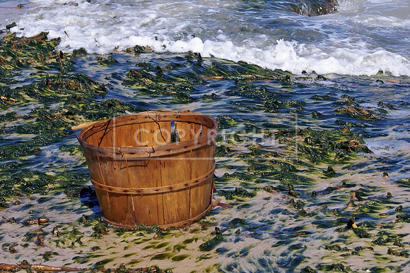 Grandview Oyster Basket