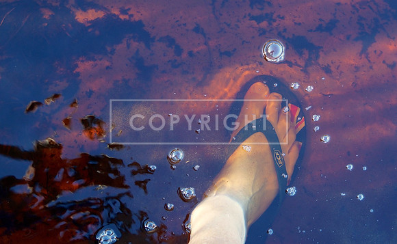 Tannin Tide