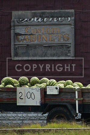 Delmarva Melons