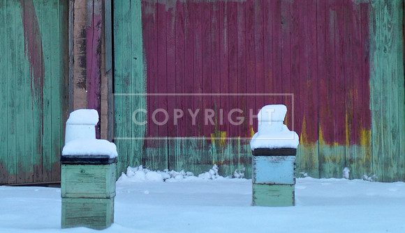 Onion Boxes in Snow