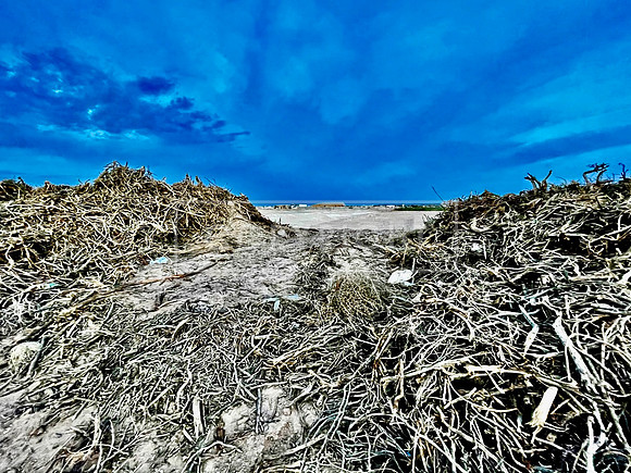 Desert Developer's Debris