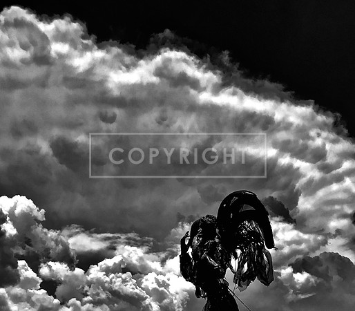 Angel of the Apocalypse