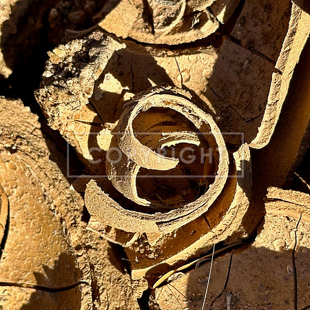 Cracked Mud Curl
