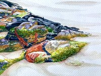 Low Tide, Hat Head
