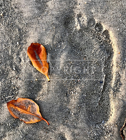 Footprint by the Estuary