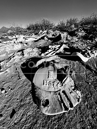 Desert Trash Series-Dunce Cap (B&W)