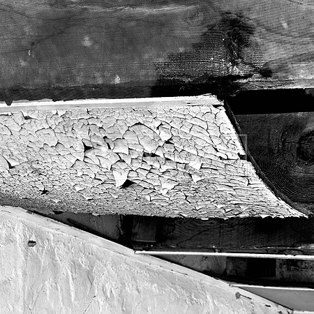 White Peel Abstract