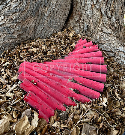Pan Pipes