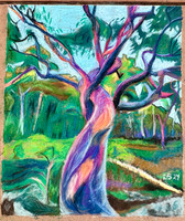 Twisted Pink Gum  (Chalk the Walk 2024)