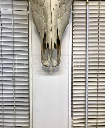 Blind Skull