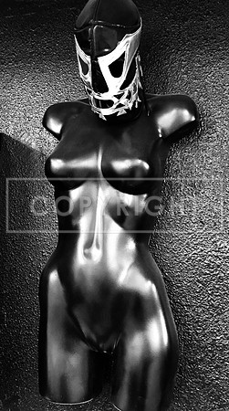Luchador Erotica