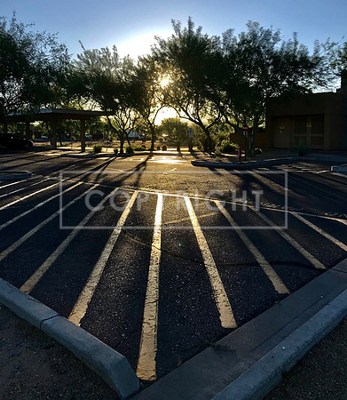 A Lot of Rays