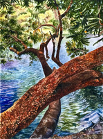 Blue Lake Banksia