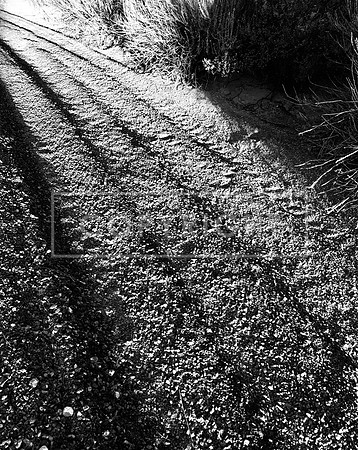 Arroyo Ruts