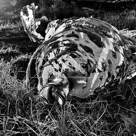 Desert Trash Series-Shot Up and Shredded