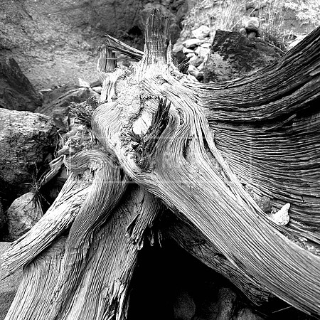 To the Core