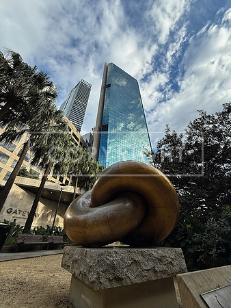 Sydney Knot